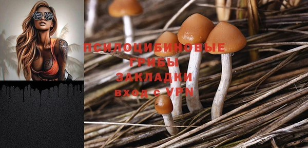 скорость Пестово