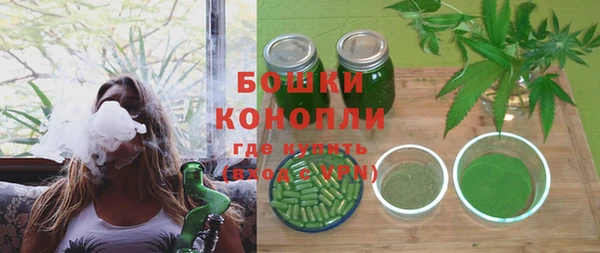 mix Пересвет