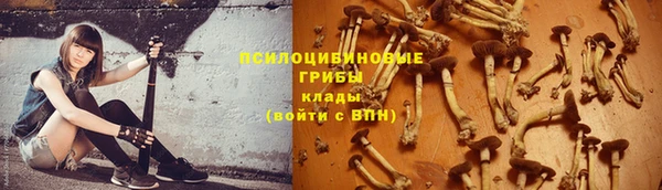 скорость Пестово